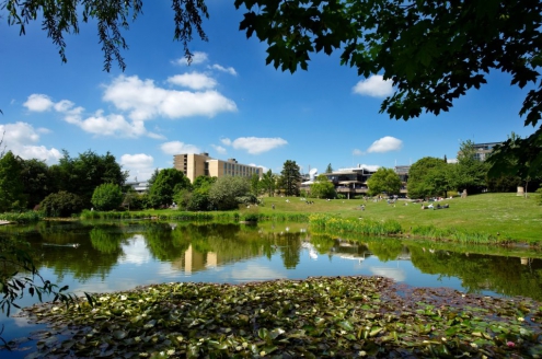 Ardmore -      University of Bath